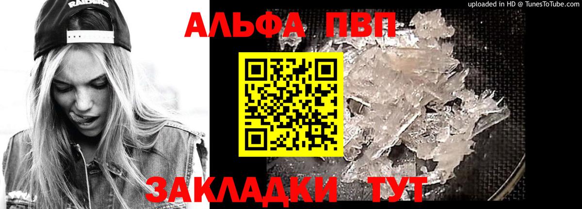 Alfa_PVP СК Нижний Новгород