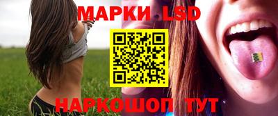 твердый Бердск