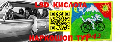 твердый Бердск