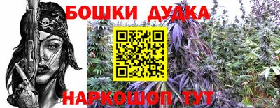 твердый Бердск