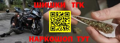 прущие грибы Брянск