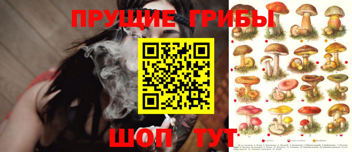 Галлюциногенные грибы ЛСД  Вход с VPN  Галлюциногенные грибы Psilocybe  Нижний Новгород 